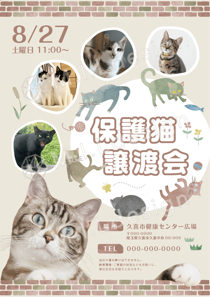 M.I.Ldesign（エムアイエルデザイン）ポスターデザイン案 保護猫譲渡会